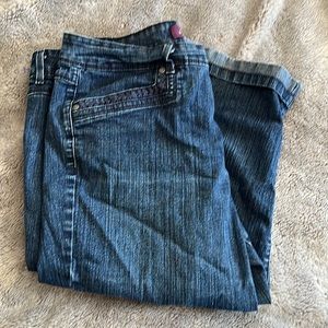 12 Gloria Vanderbilt Skimmer Pants.